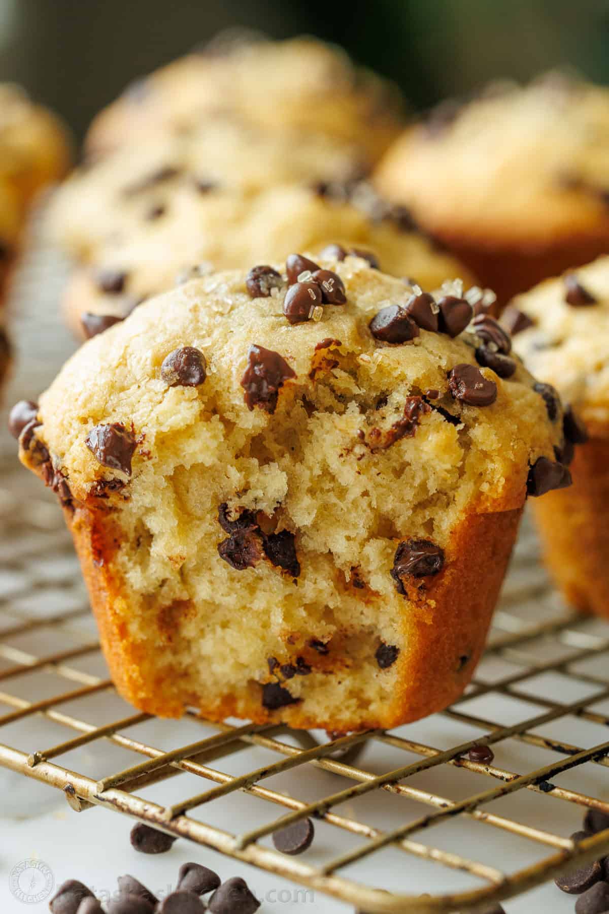 chocolate chip muffins recipe - Article 1